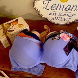 40C Bra SIX in the Bundle